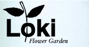 loki_logo.jpg